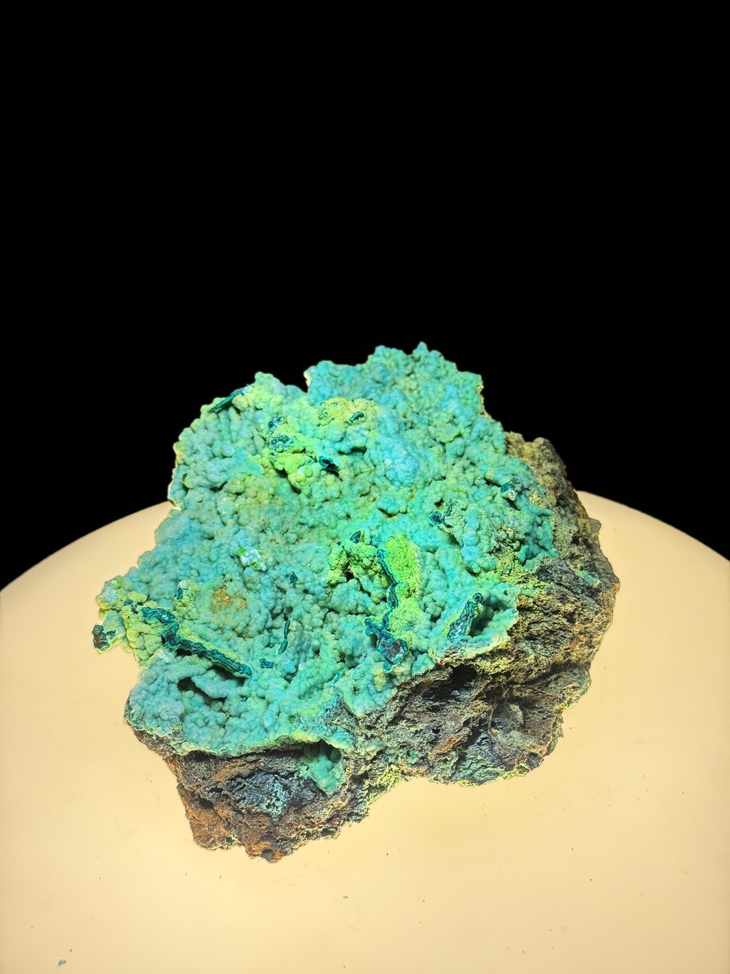 Chrysocolla (Botryoidal) with Minor Copper Silicates on Matrix - Kaokoveld, Namibia